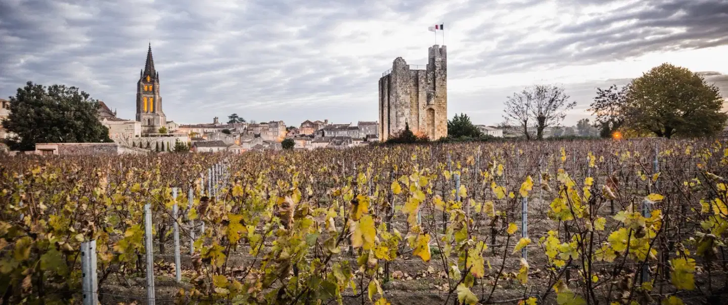 Vineways of Saint-Émilion