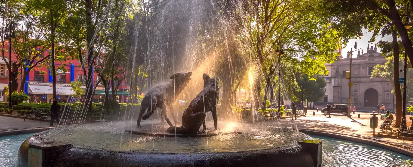 The Way Coyoacán Tastes