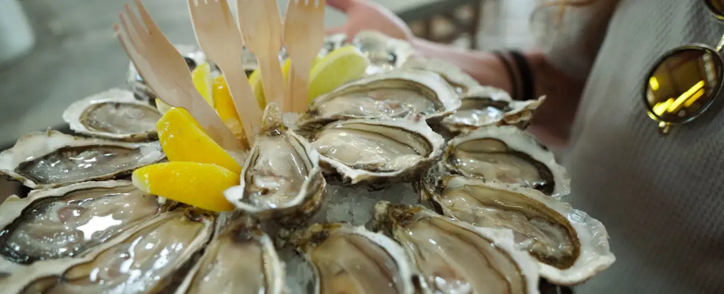 The Culinary Coast
