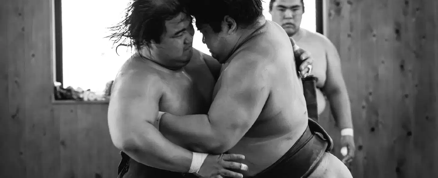 Gods of the Dohyo