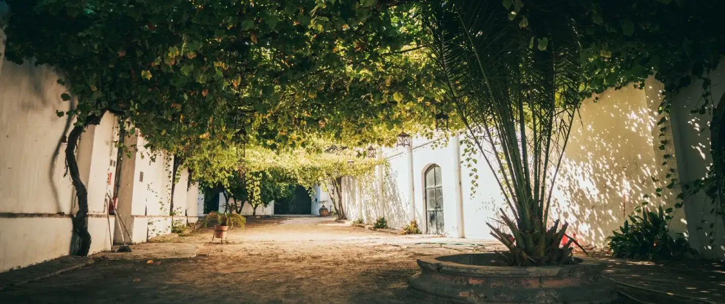 Untold Cádiz: Sherry, Legacy, Doñana