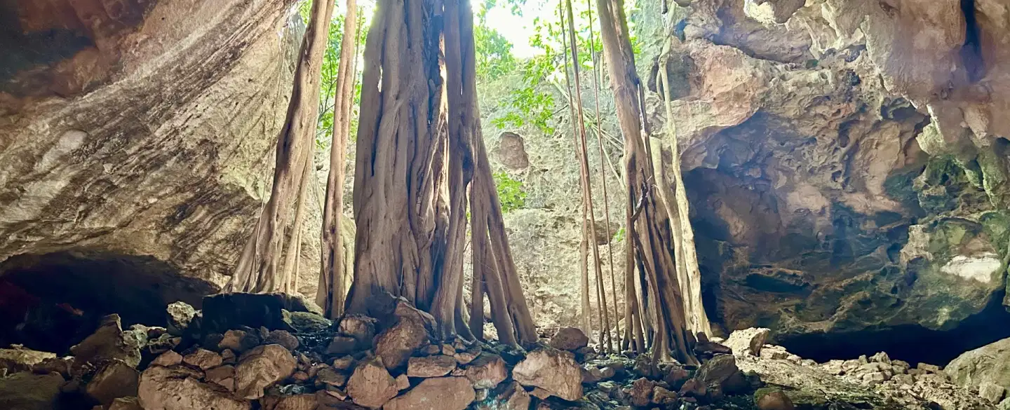 Labyrinth, Cave, Cenote