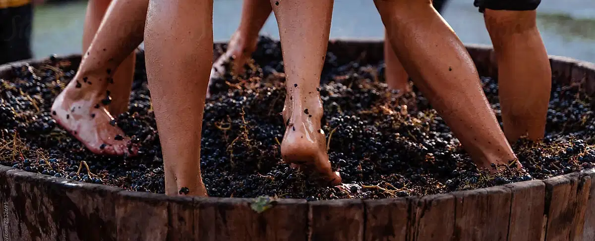 Douro Harvest Rituals