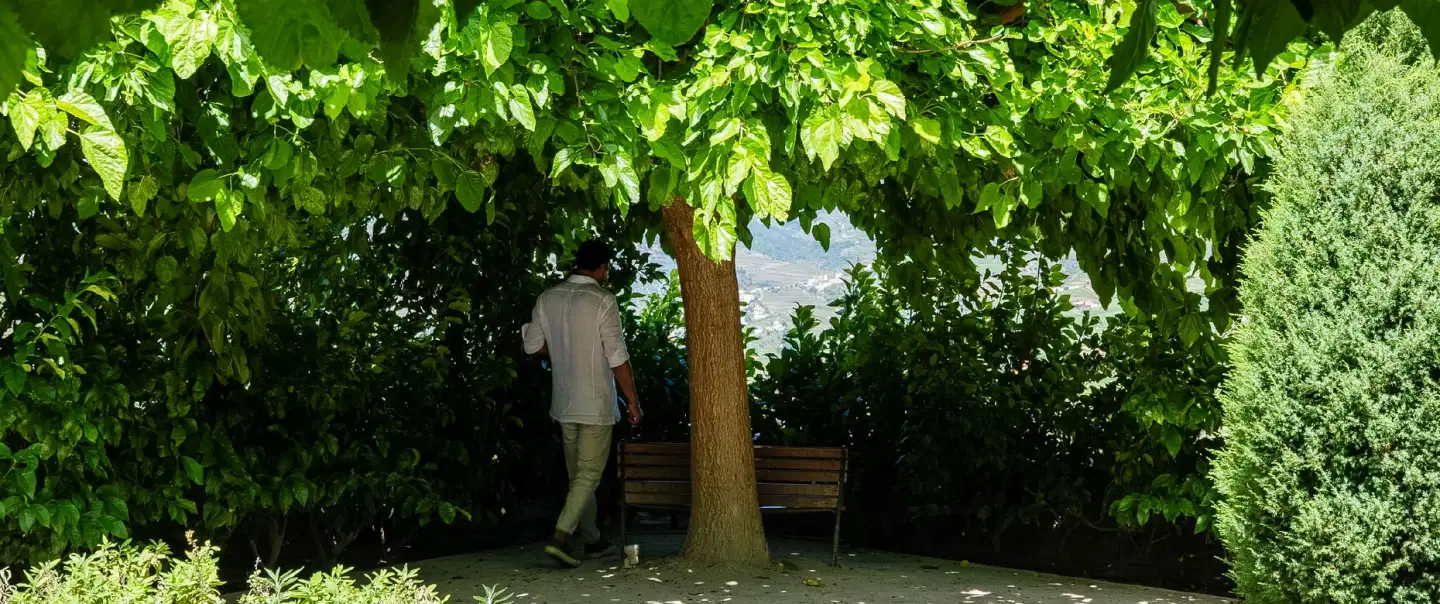 To The Botanical Quinta & Back