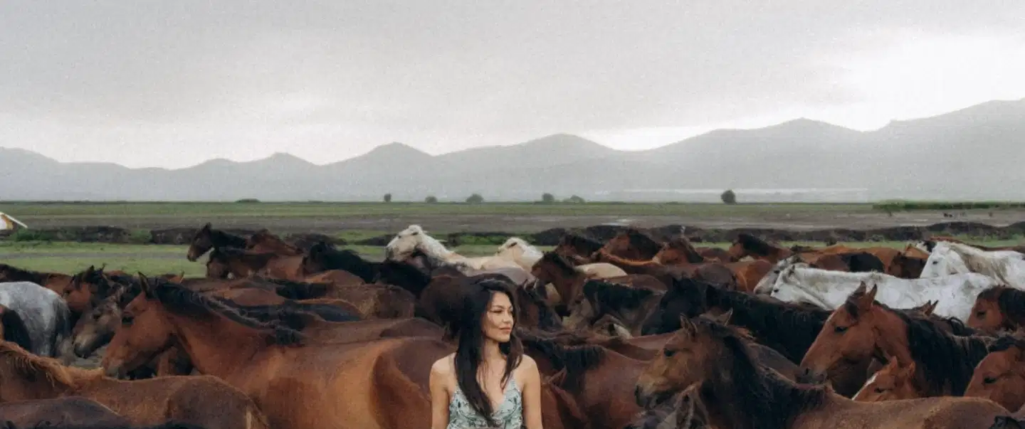Sunset With Wild Yilki Horses