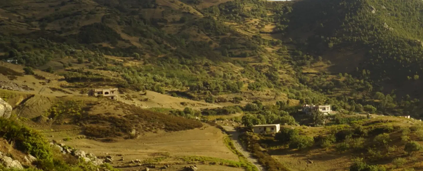 Hiking Tour in the Chefchaouen hills, farm visit and meal with a local family, 2 hours from Tangier.