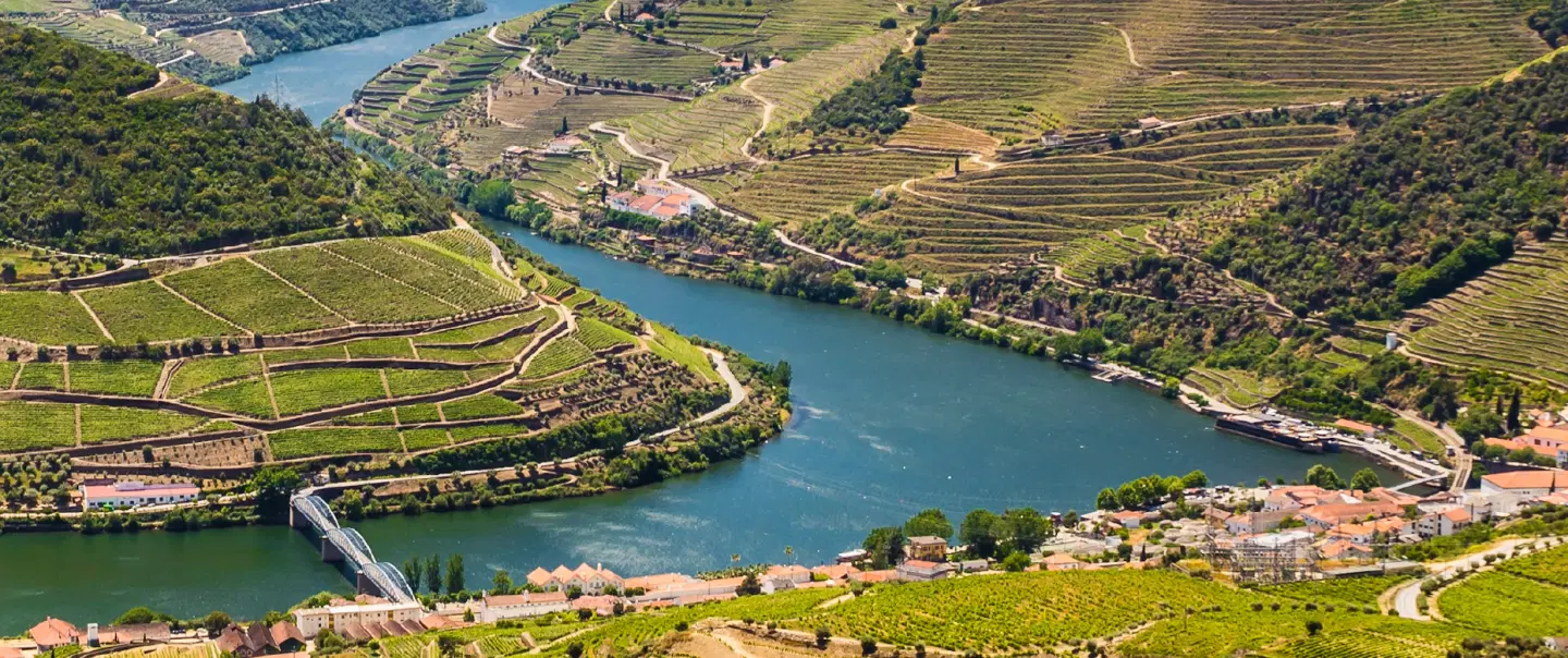 Half-Day Tour in Douro Valley: Scenic views, private rabelo boat cruise and wine tasting with lunch.