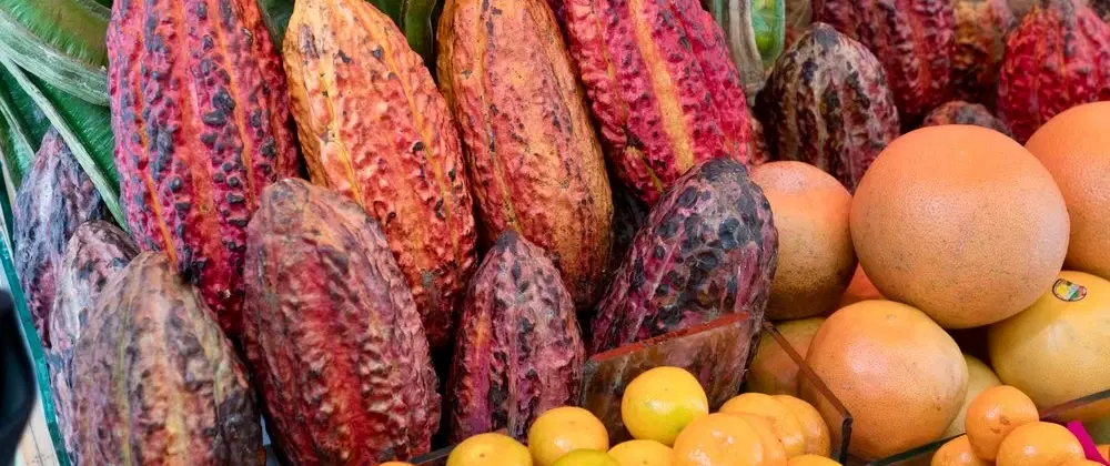 Walking Food Tour in Lima exploring the historic center through museums, markets, and local bites.