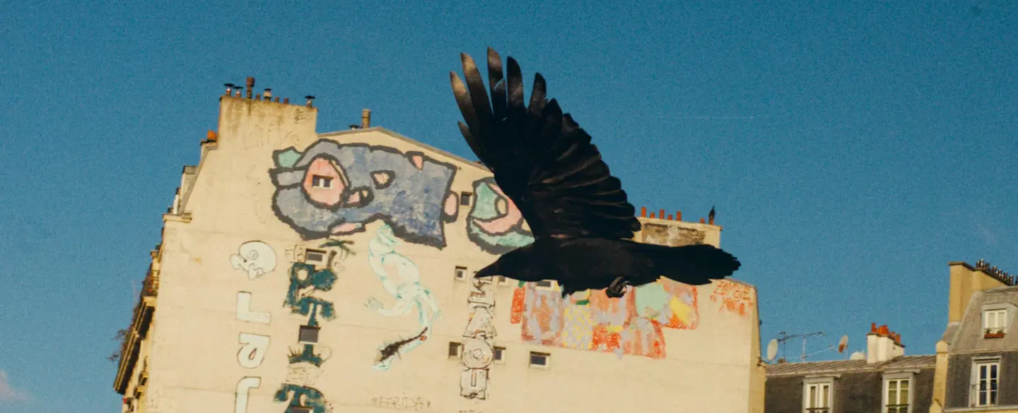 Photo Walking Tour in Paris: Cartier-Bresson locations, the decisive moment and street photography.