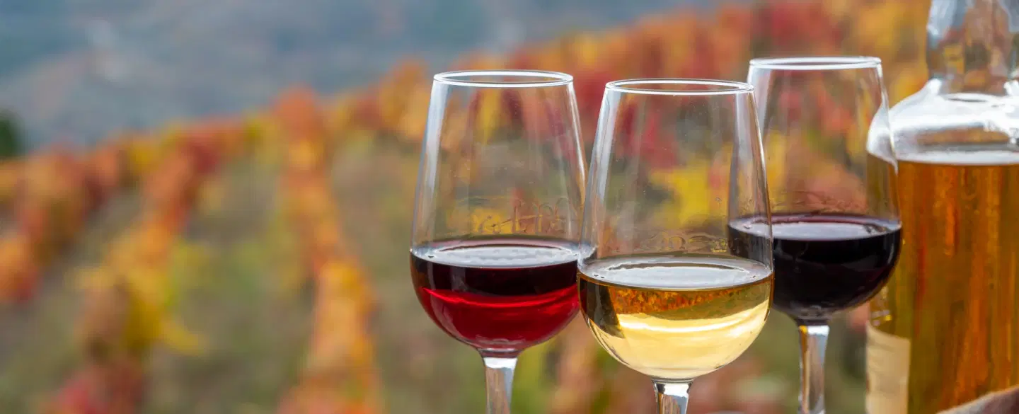 Day Trip from Porto to visit Douro Valley vineyard, enjoy gourmet meal and explore Amarante.