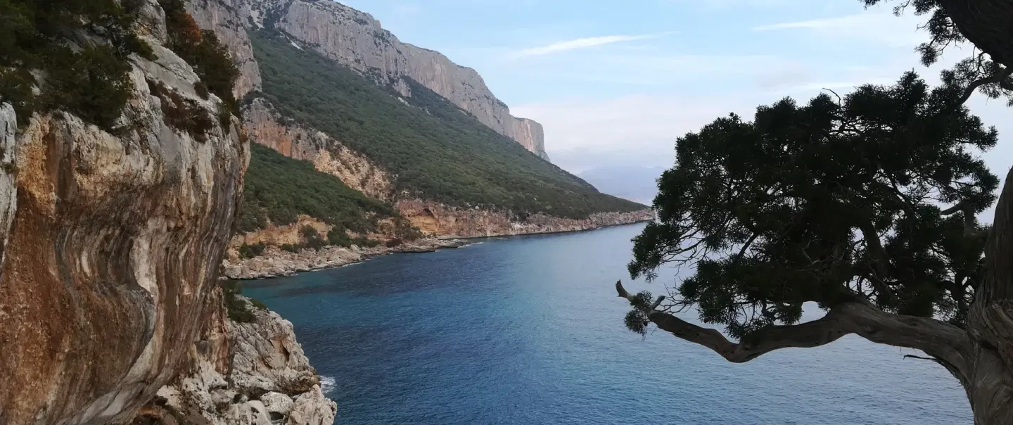 Day Trip in Sardinia’s Blue Zone exploring its unique culture, cuisine, and secrets of longevity.