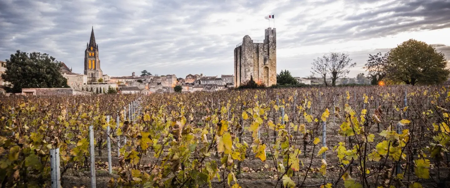 Vineways of Saint-Émilion
