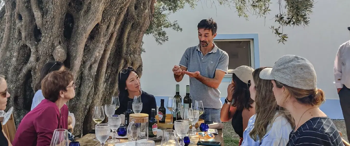 Olive Oil Tour in Alentejo at a small family farm with ancient trees, tasting session, local lunch.