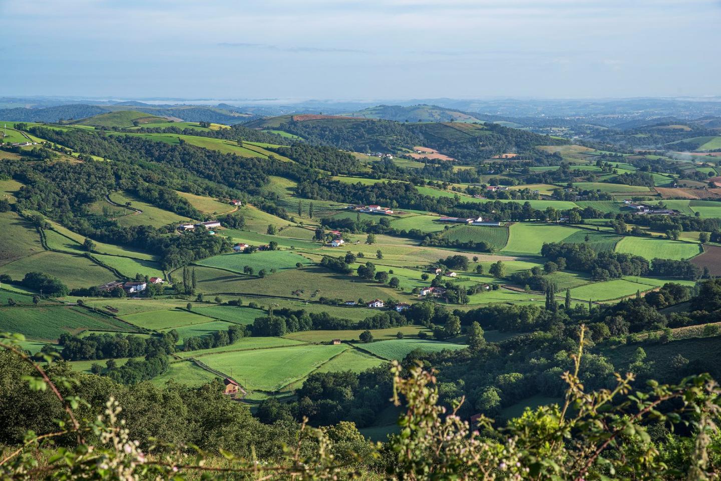 A road trip itinerary from the Basque Country to Bordeaux, tracing art, culture, and the Atlantic.