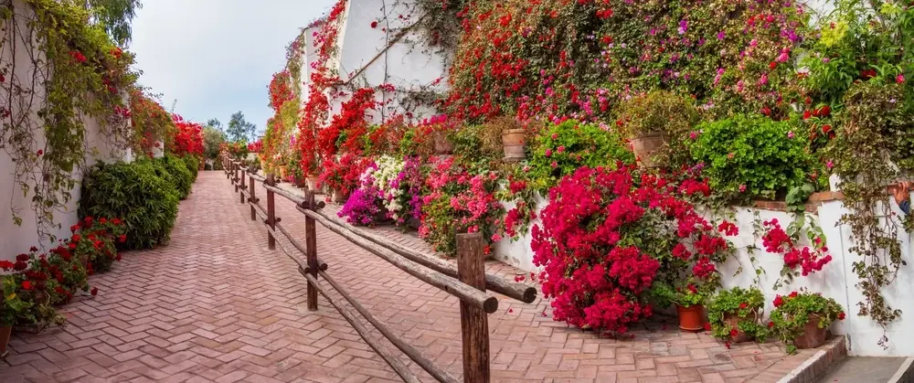 Food & History Walking Tour in Lima: Pueblo Libre markets, ceviche, and independence-era landmarks.