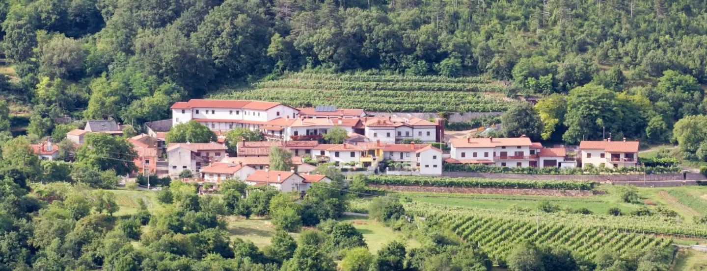 Boat and E-Bike Tour from Trieste to Muggia, exploring historic architecture and a scenic vineyard.