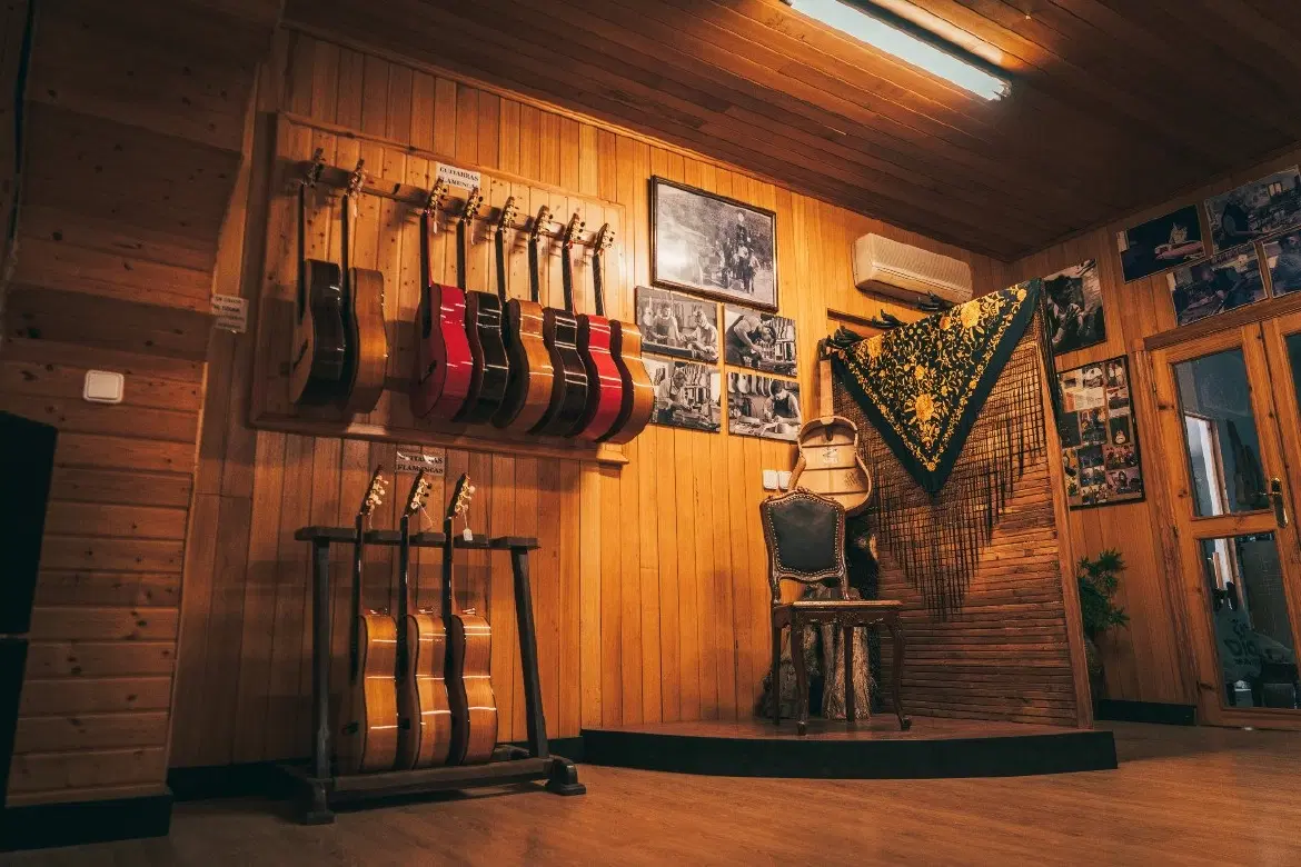 Flamenco Tour in Jerez near Cádiz & Seville: luthier visit, Lola Flores Museum, tablao performance.