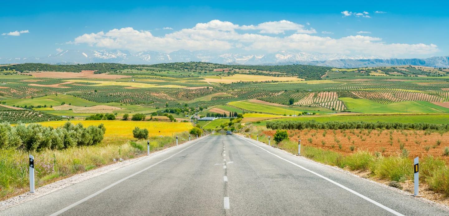 A road trip itinerary through Andalusia, from flamenco heartlands to Moorish palaces and sea views.