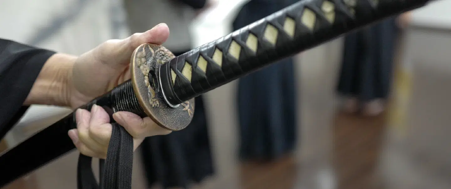 The Practice of Iaido