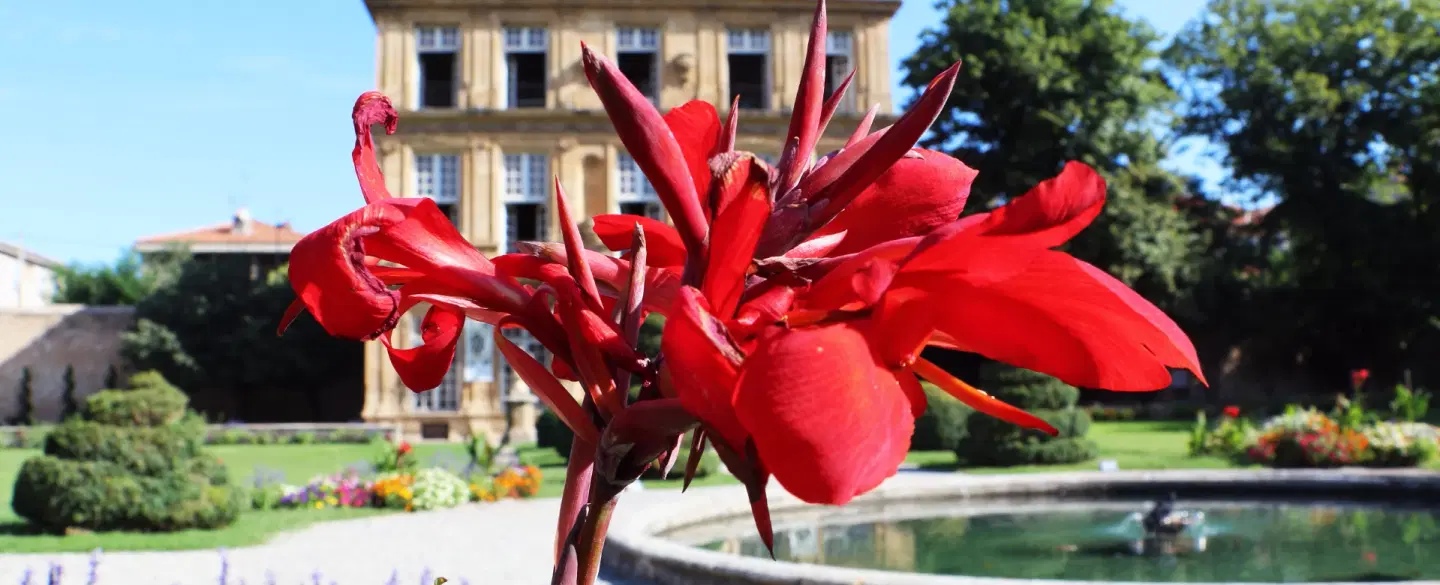 Day Trip in Provence visiting Aix-en-Provence market, wine estates, tastings, and contemporary art.