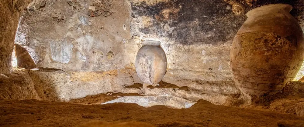 Wine Day Trip from Valencia to Utiel-Requena with Historic Caves, Bobal tasting, and Old Vines.