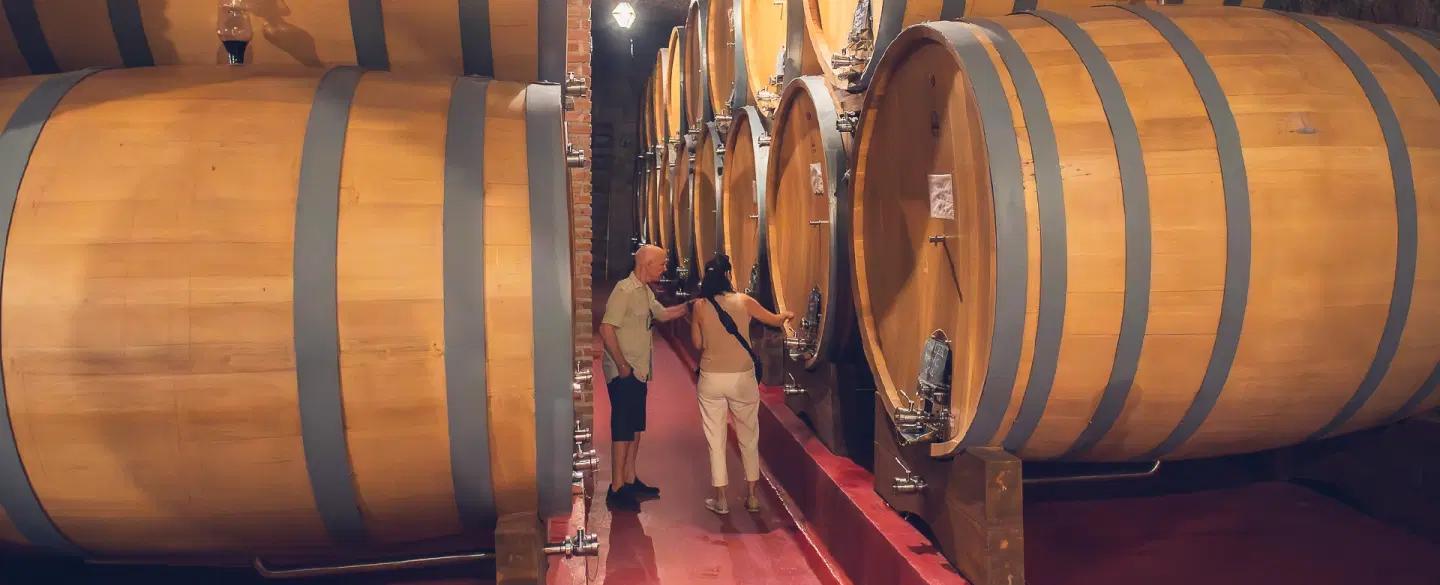 Wine Tour in Mendoza Argentina visiting hidden boutique bodegas with local stories & expert insight.