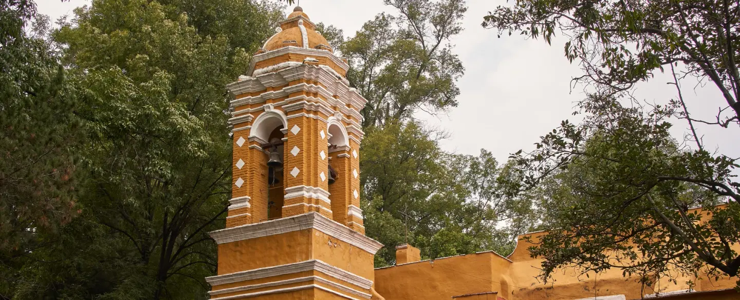 Food Tour and Photoshoot in Coyoacán, Mexico City with café stops, portraits, stories full of color.