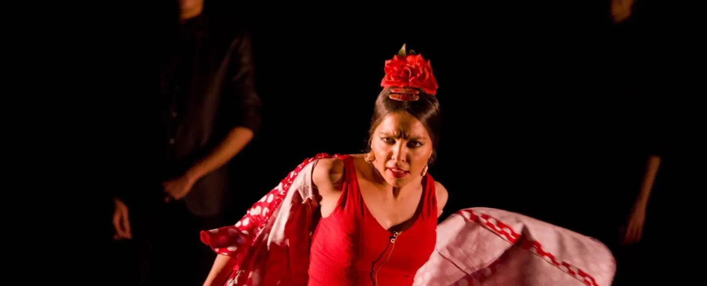 Flamenco Tour in Madrid with artist-led academy visit, clapping class, private performance & tapas.