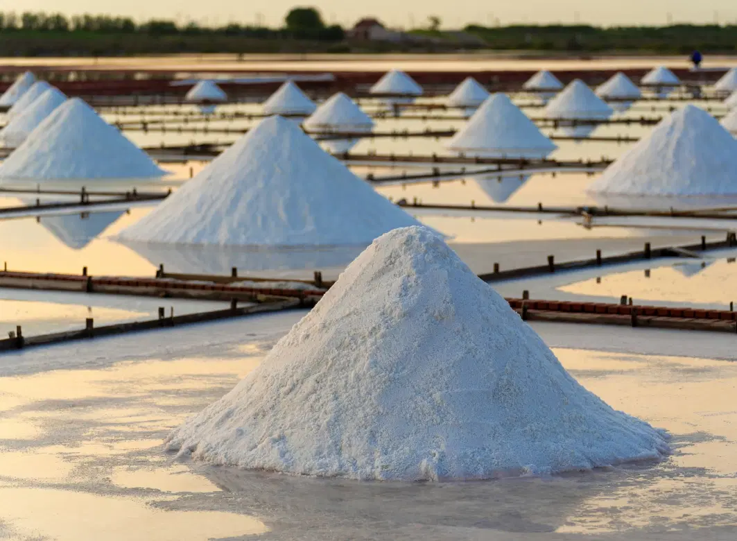 Day Trip in Marsala, Sicily, exploring the celebrated Marsala wine tradition and ancient salt pans.