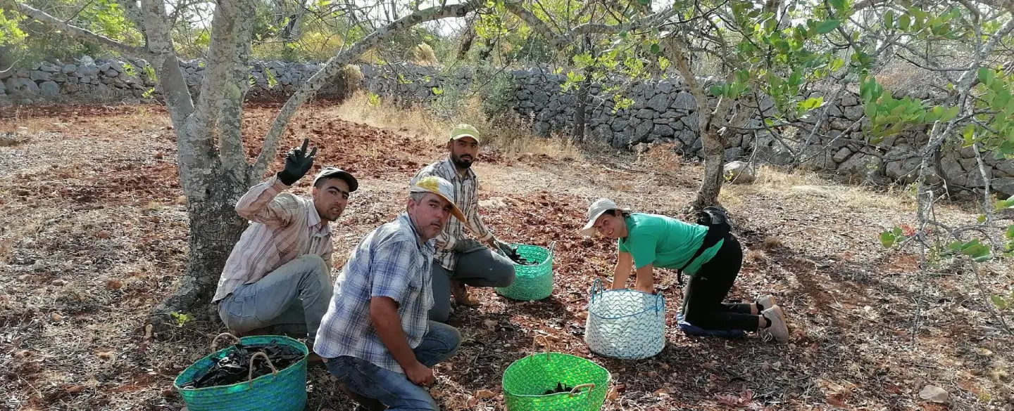 Três Delícias do Algarve