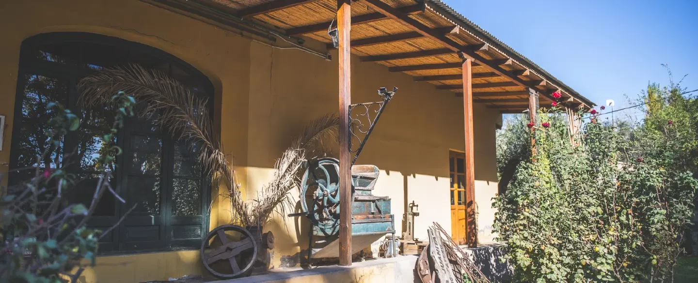 Organic honey and wine tasting at a Mendoza family farm, ending with a home-cooked Argentine asado.