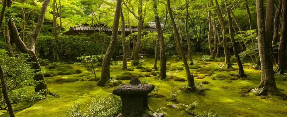 Cultural Tour in Kyoto’s Arashiyama exploring folk sculpture, moss temples, traditional craft shops.