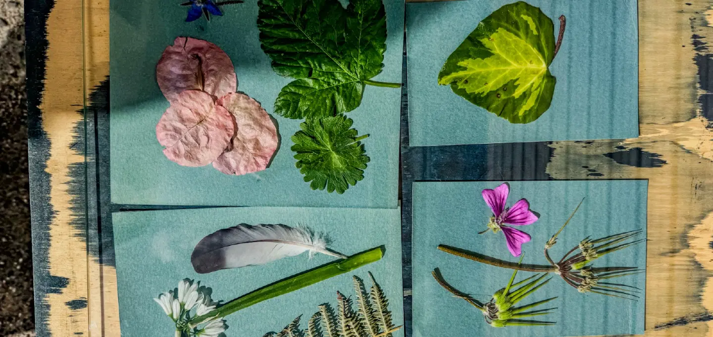 Walking Tour and Cyanotype Workshop in Cuglieri, Sardinia, rich in tradition and sensory beauty.
