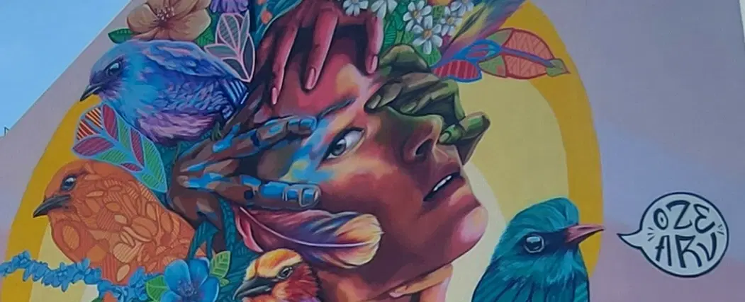 Street Art Tour in Lisbon, exploring the Graça and Mouraria districts, their murals and viewpoints.