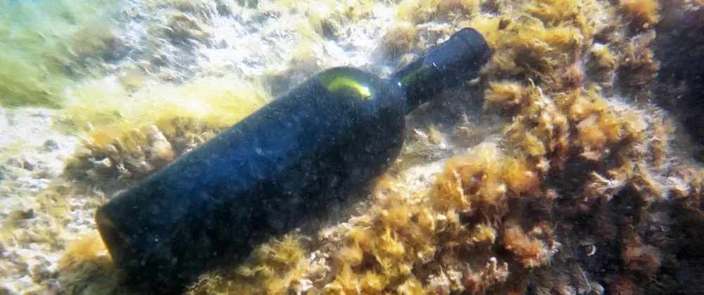 Boat Tour in Costa del Sol near Málaga with open-sea tasting of underwater-aged wine, oysters, EVOO.