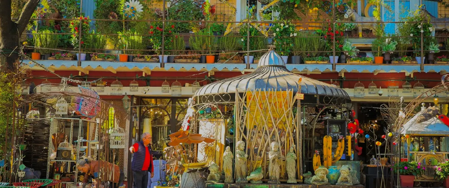 Provence Day Trip exploring L’Isle-sur-la-Sorgue antique markets & UNESCO Avignon, Palais des Papes.