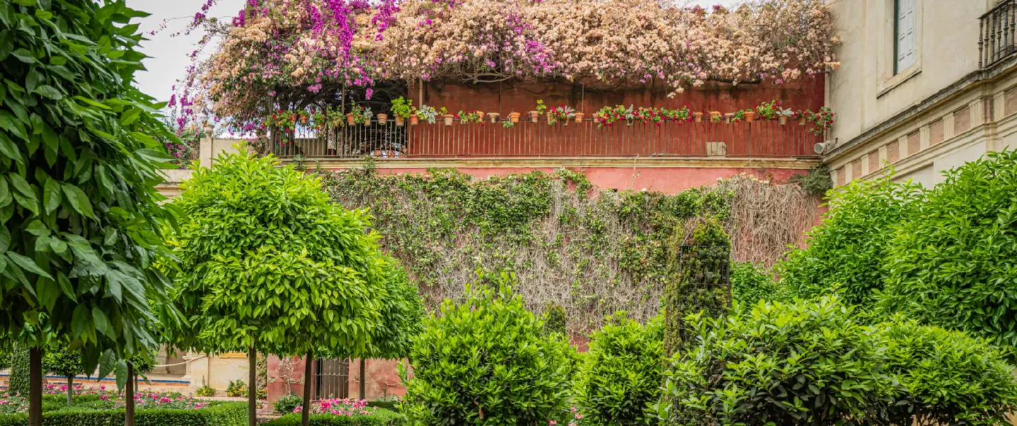 Cultural Tour in Seville, ideal for first-timers: Alcázar, Cathedral, hidden places, music and food.