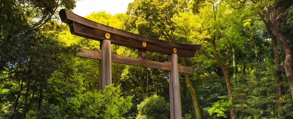 City Tour of Tokyo tracing bold contrasts: shrine rituals to neon alleys and shifting cityscapes.