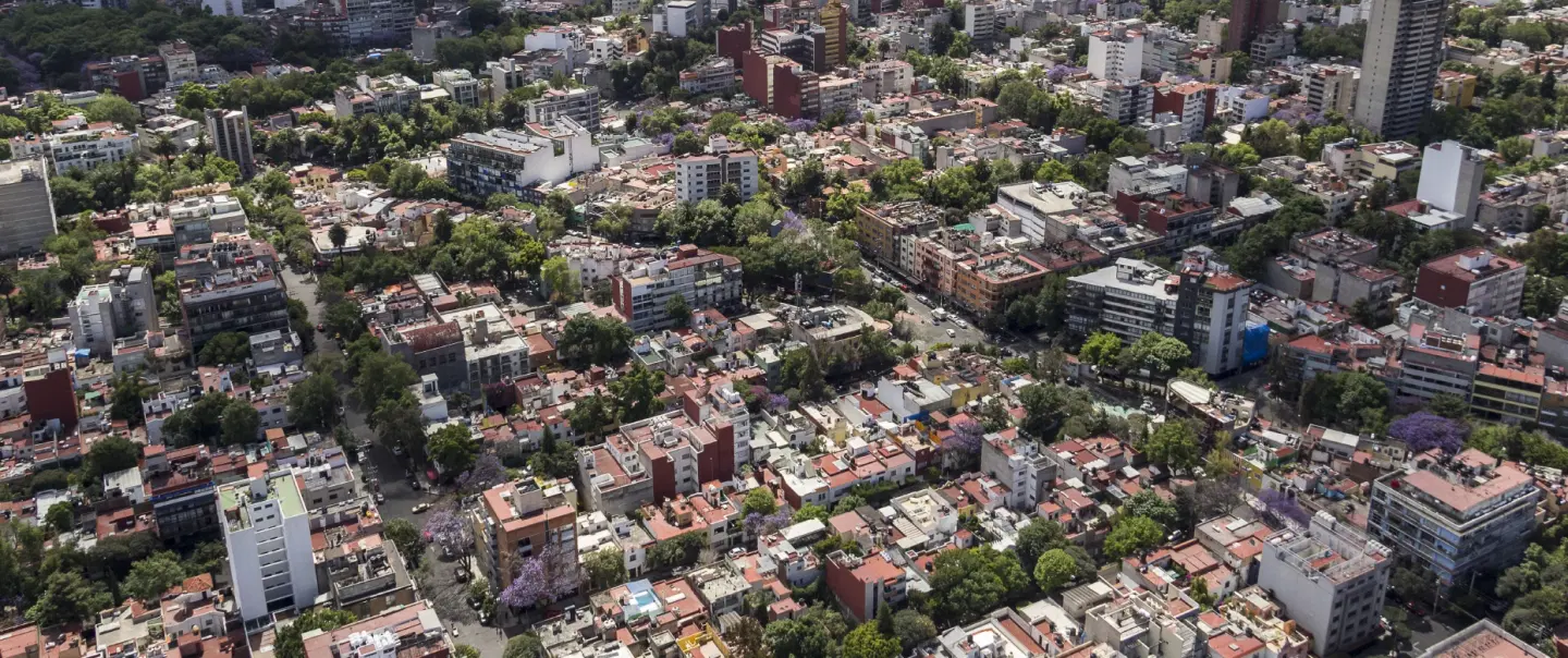 Street Food Walking Tour in Mexico City: Taco, Local Life, Authentic Flavor in Narvarte & Del Valle.