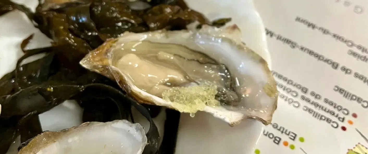 Gourmet Food Tour in Bordeaux, walking through the Golden Triangle for oysters, foie gras, caviar.