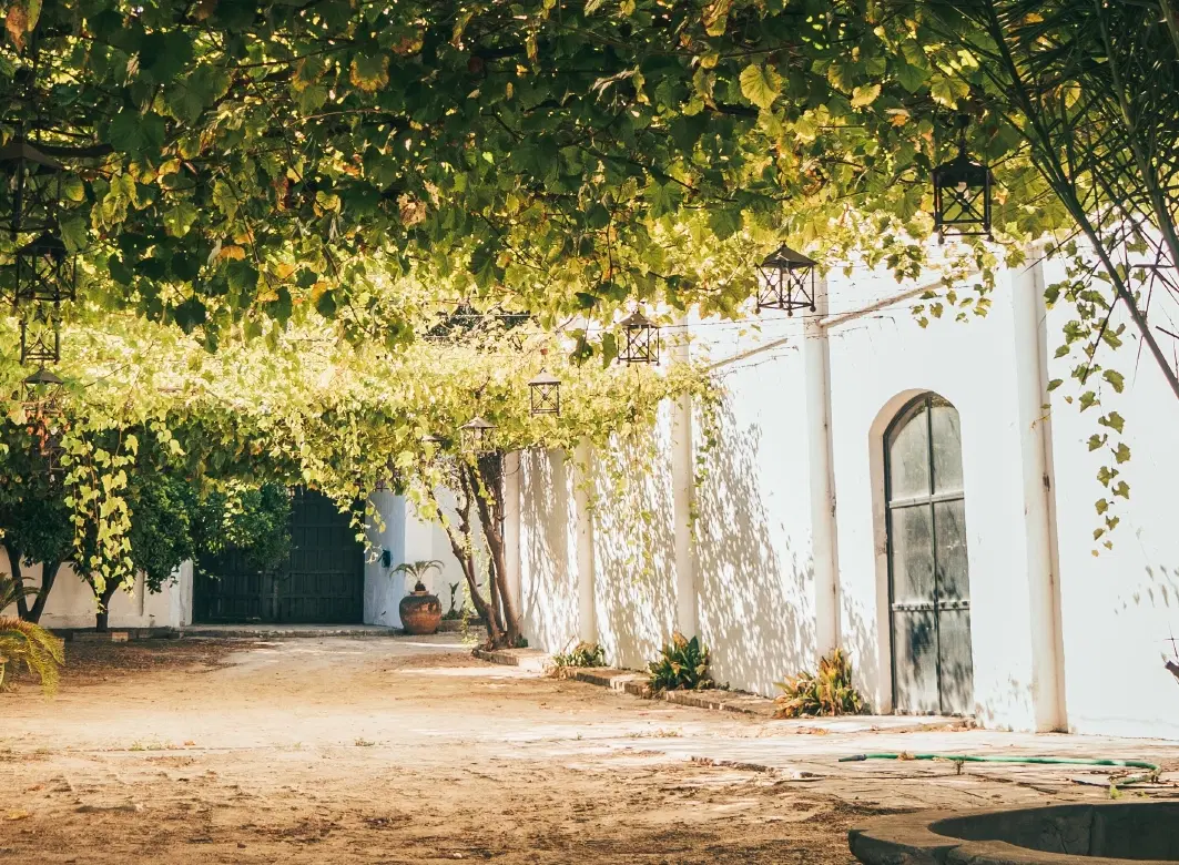Sherry Tasting and Boat Tour of Sanlúcar near Cádiz: historic winery, seafood lunch, Doñana cruise. 