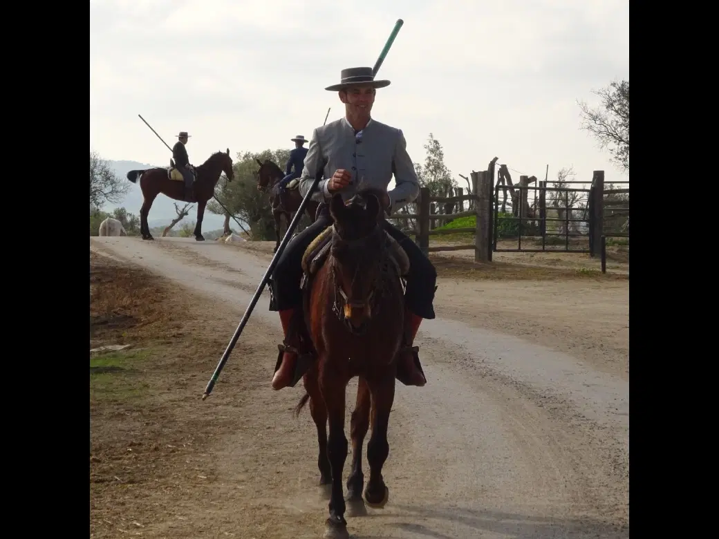 Horseback Tour and Ranch Visit in inland Cádiz with wild bull safari, eco riding and gourmet lunch.