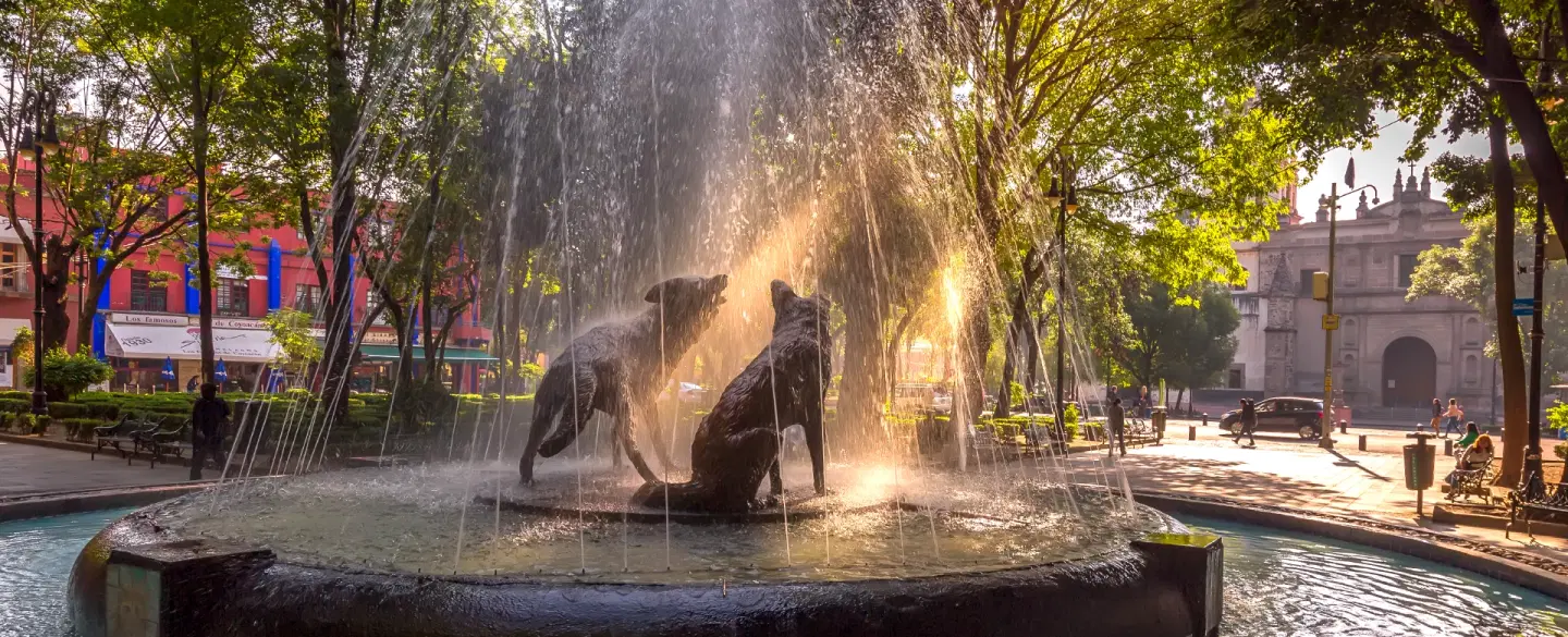 Food Tour and Photoshoot in Coyoacán, Mexico City with café stops, portraits, stories full of color.