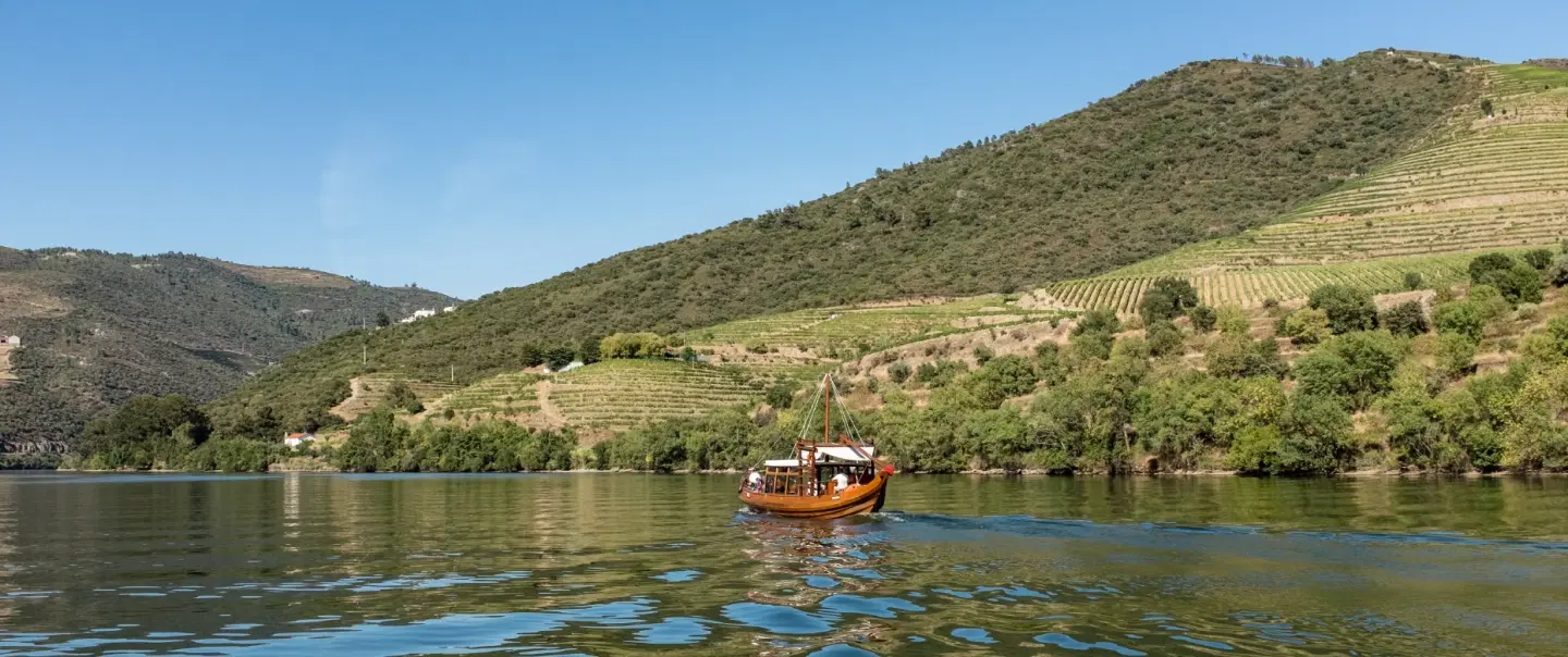 Day Trip in Douro Valley: Ride electric vintage van, taste wines & olive oil, cruise by Rabelo boat.