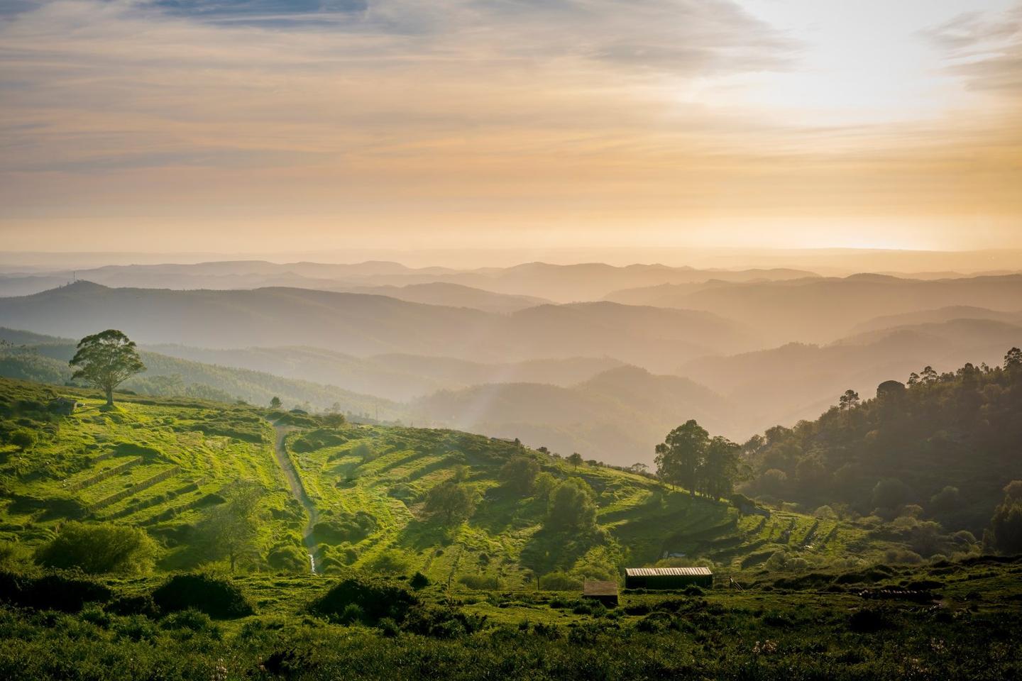 A road trip itinerary from the Basque Country to Bordeaux, tracing art, culture, and the Atlantic.