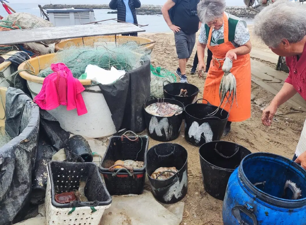 Fishing Tour day trip from Porto with fishermen’s return, sardine cannery visit, Matosinhos market.