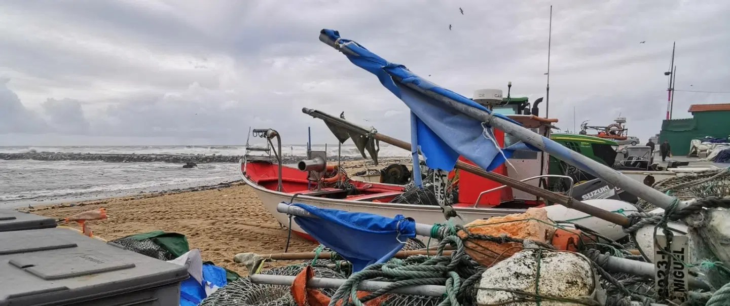 Fishing Tour day trip from Porto with fishermen’s return, sardine cannery visit, Matosinhos market.