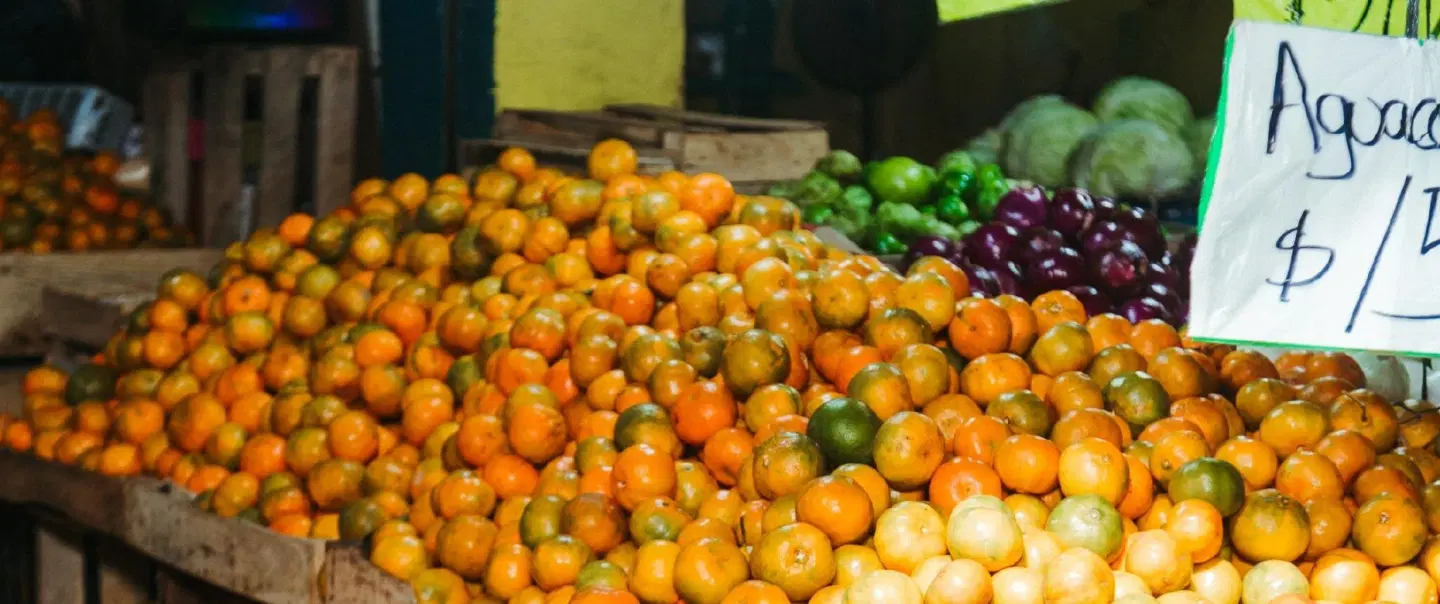 Food Tour in Mérida exploring Yucatán markets, panuchos, cochinita pibil, history and traditions.