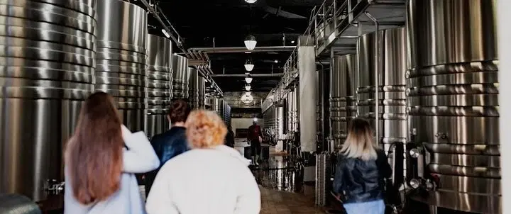 Wine Tour from Bordeaux to the Médoc visiting three châteaux: family estates and a Grand Cru Classé.