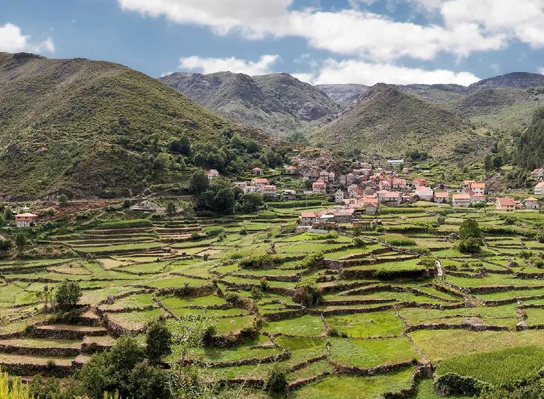 Nature Day Trip to Peneda‑Gerês National Park from Porto with waterfalls, heritage, and wildlife.
